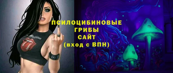 скорость Козловка